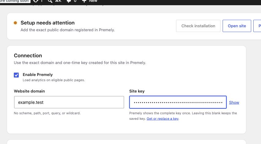 The Premely Analytics Connection card in WordPress showing Enable Premely, Website domain and a masked Site key.